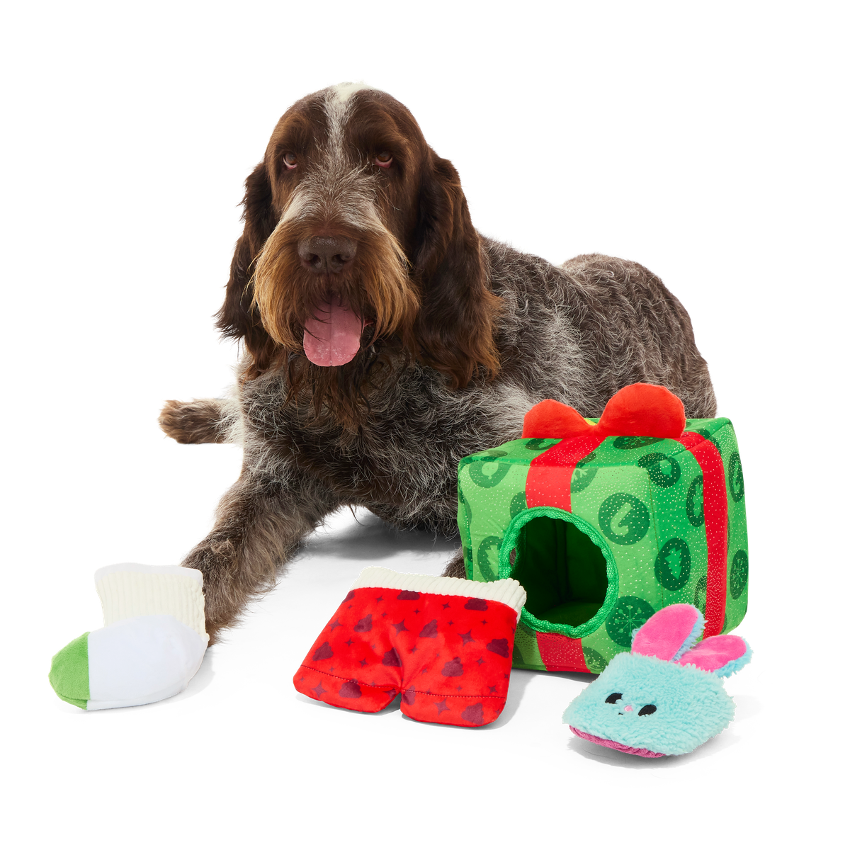 Holly Day's Presents Plush Extra-Large + Multi-Part + Enrichment Dog Toy