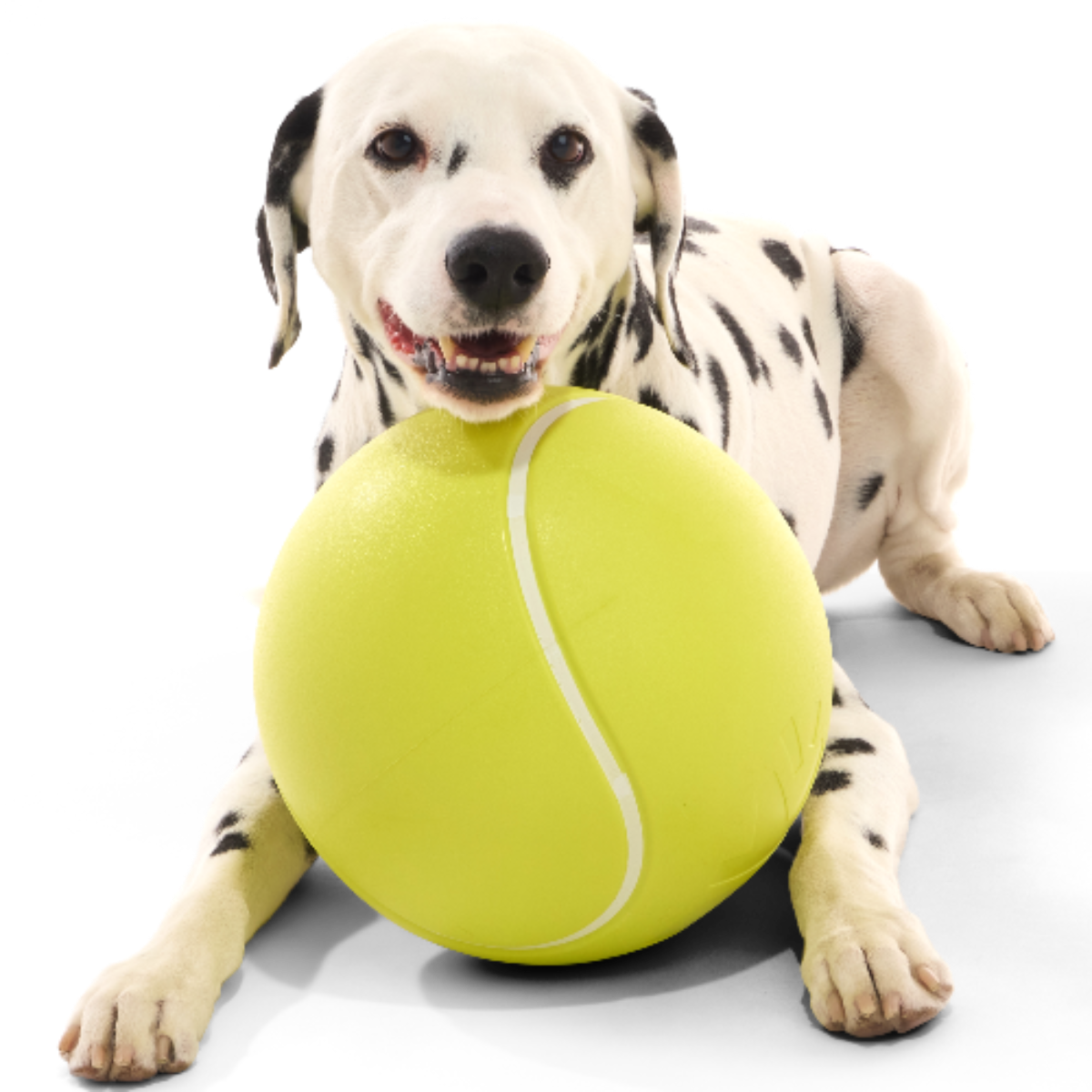 Chompianship Ball Super Chewer Durable Extra-Large + Fetch Dog Toy