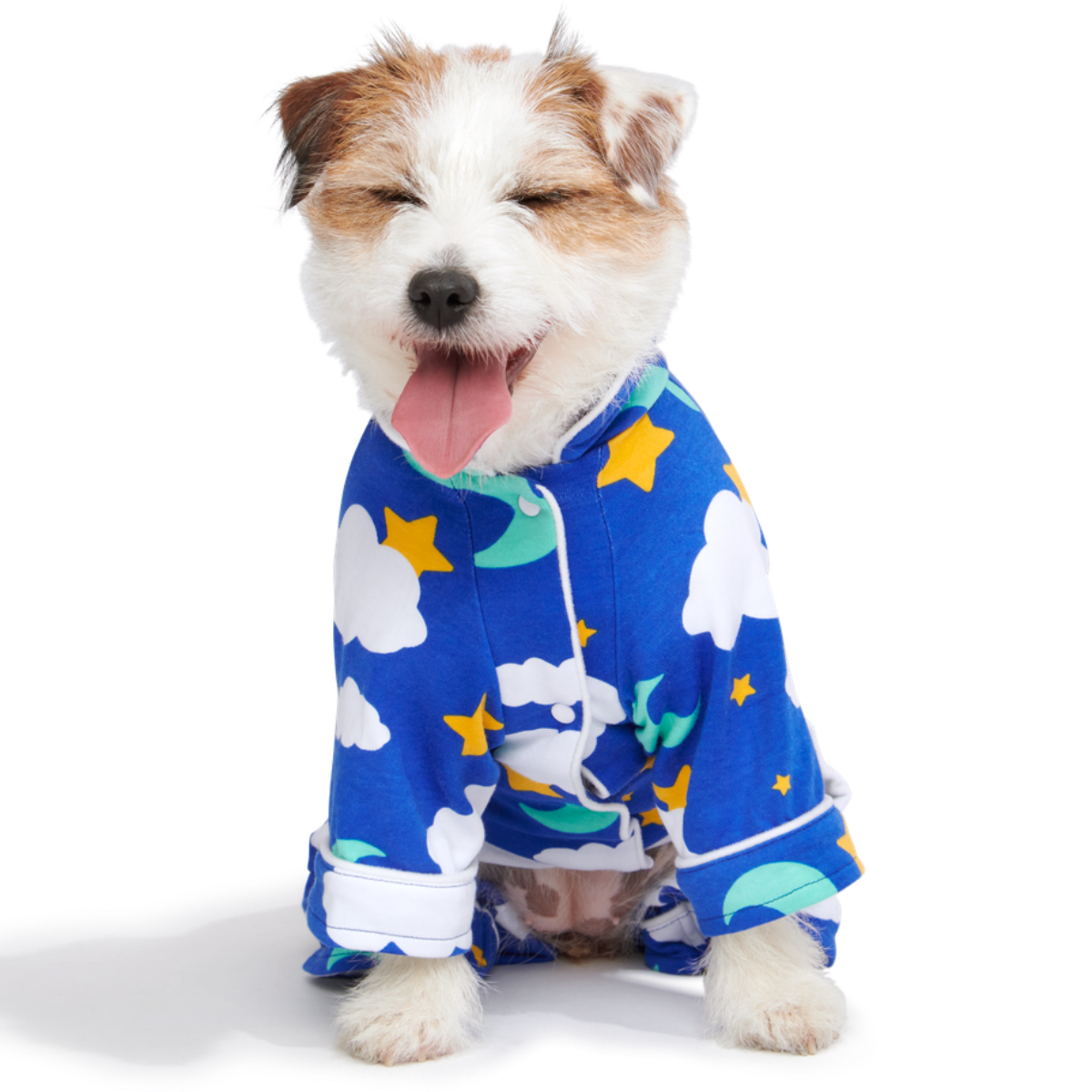 Slumber Party Dog Pajamas