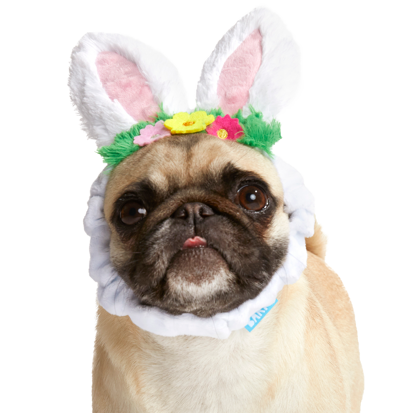 Hare Club Plush Wearable Dog Toy