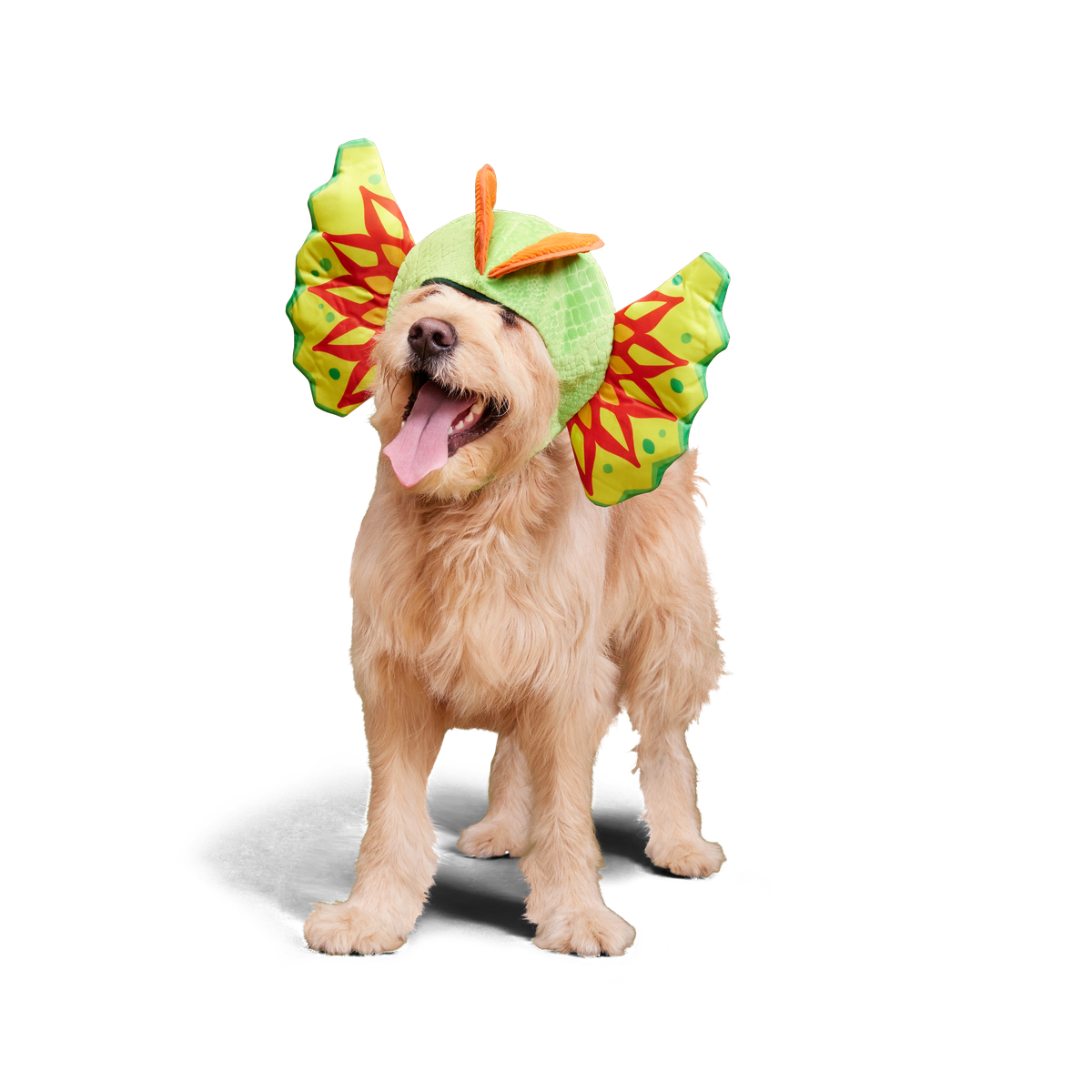 Spittin' Image Dino Collar Plush Wearable Dog Toy