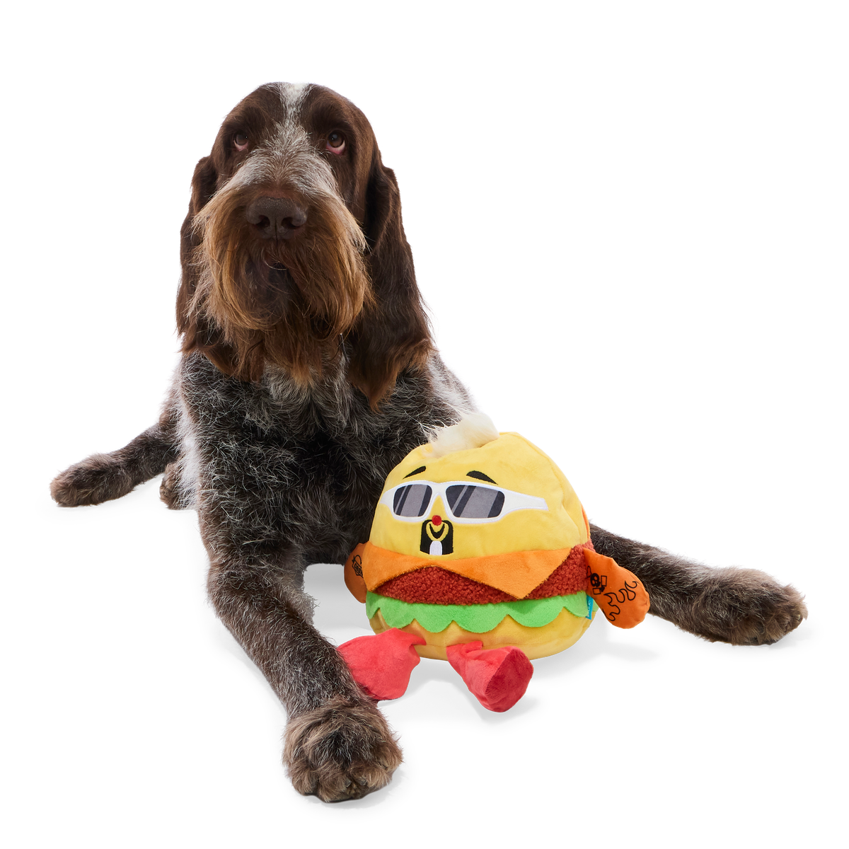 Flame-Grilled Fieri Plush Extra-Large + Tug Dog Toy