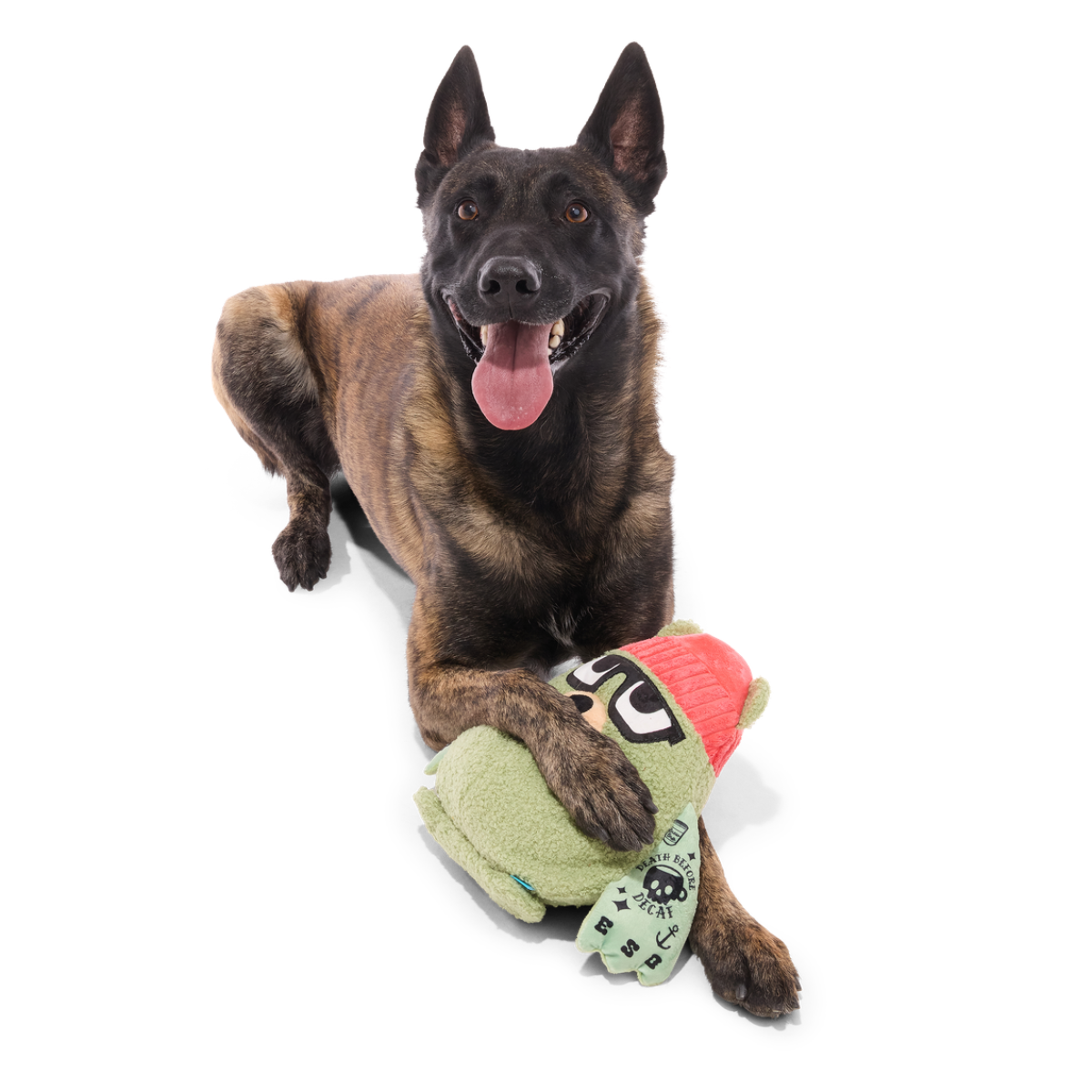 Bearista Plush Extra-Large + Tug Dog Toy