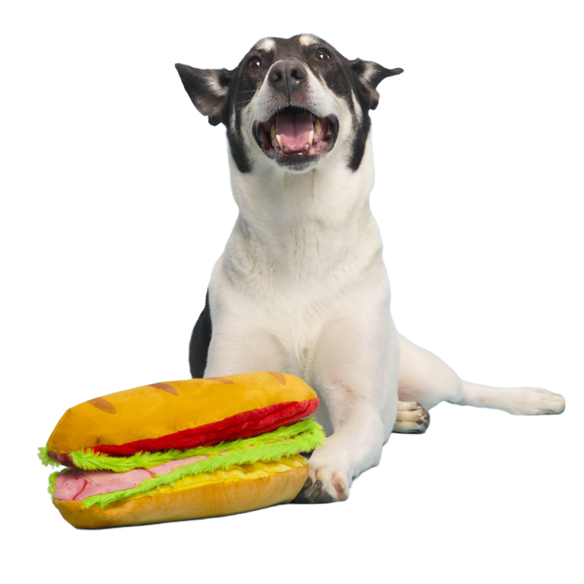 Big Bite Hoagie Plush Extra-Large + Tug Dog Toy