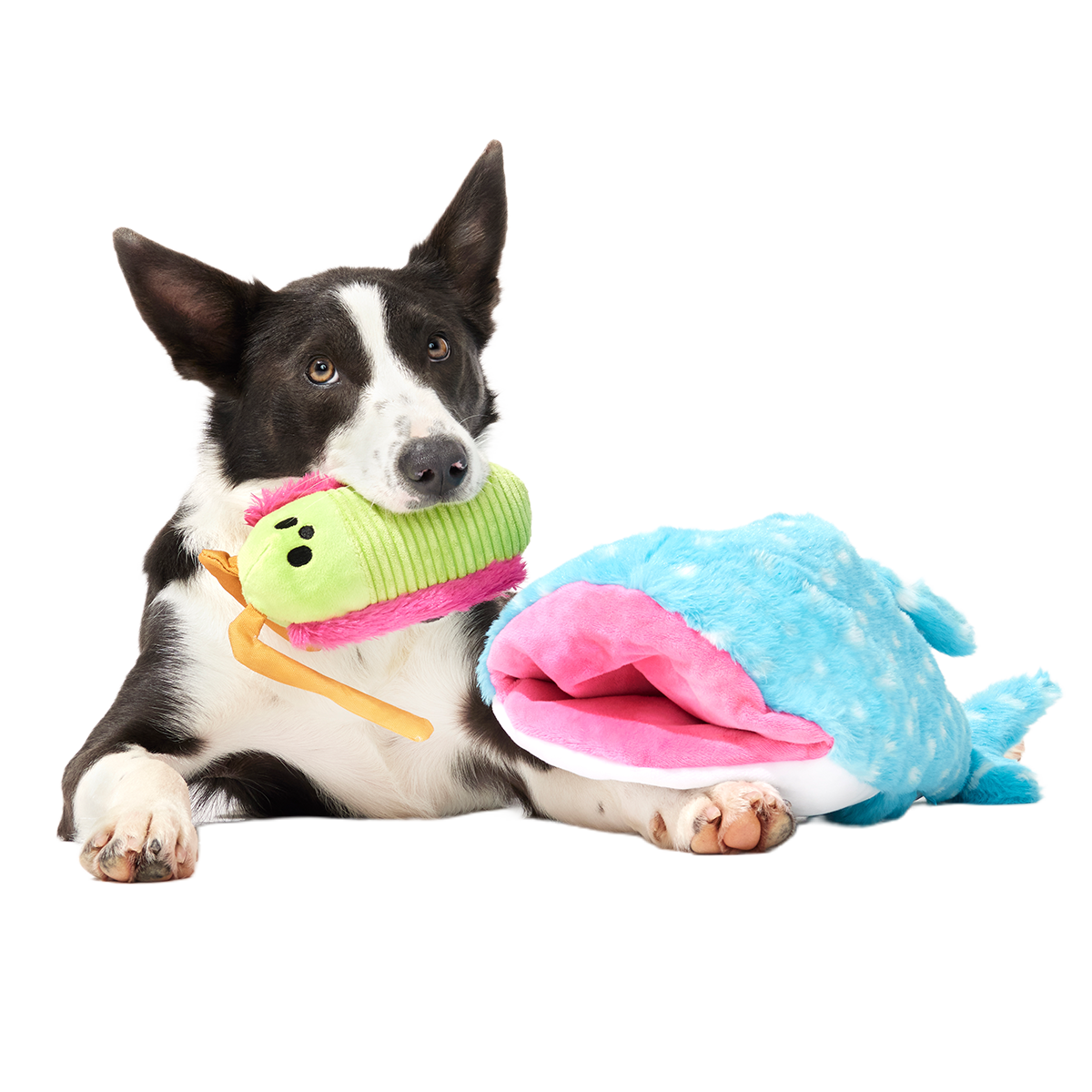 Big Mark The Whale Shark Plush Extra Large + Multi-Part Dog Toy