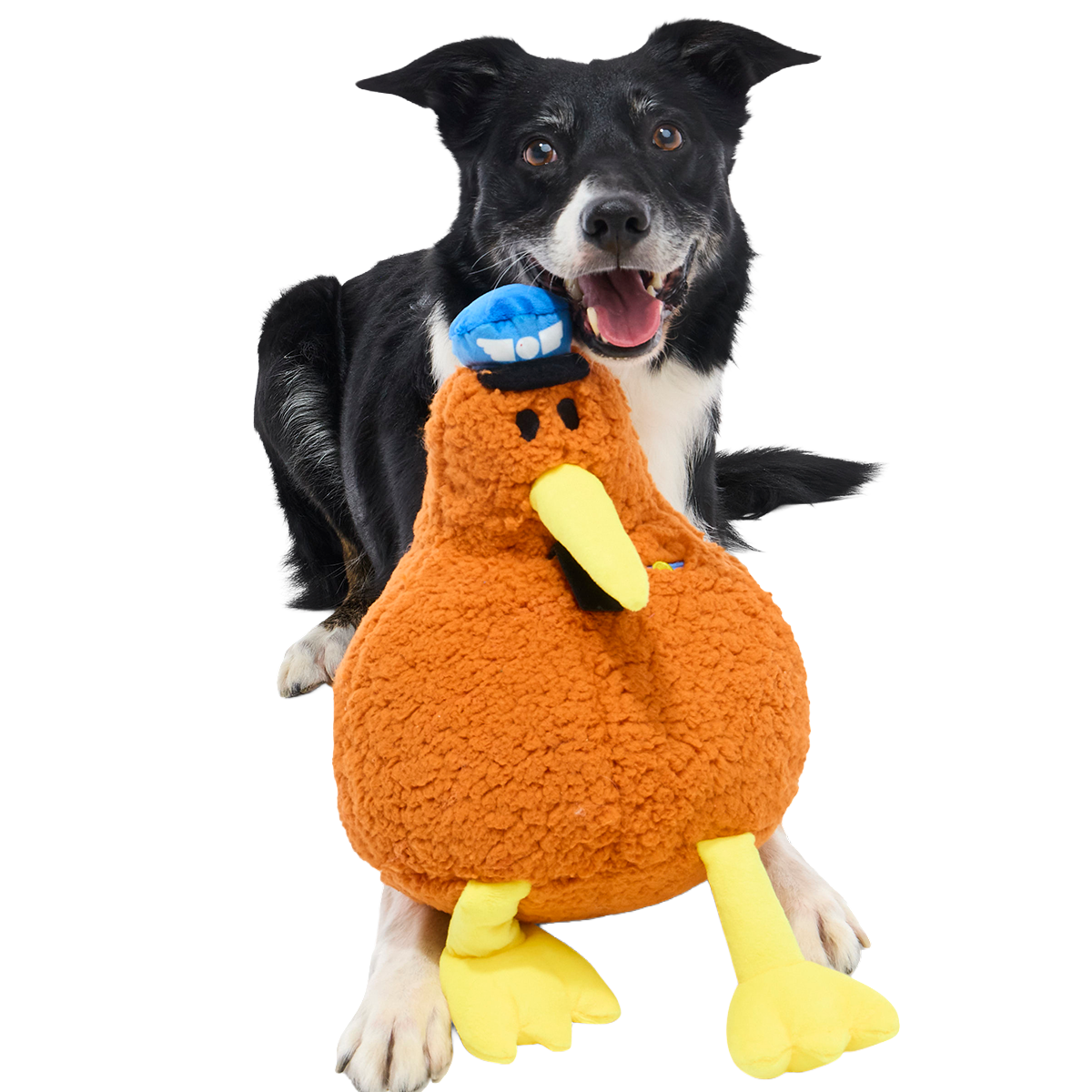 Captain Kiwi Plush Extra-Large Tug Dog Toy