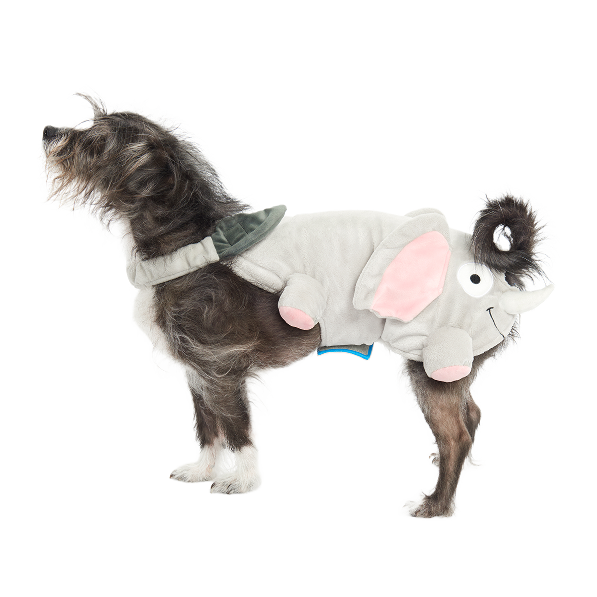 Elephant Dog Costume