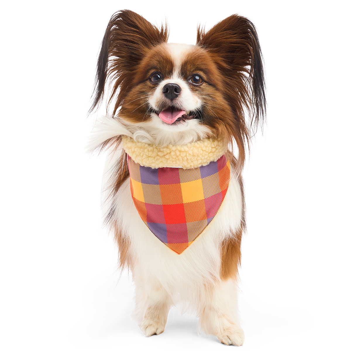 Fall Teddy Dog Bandana