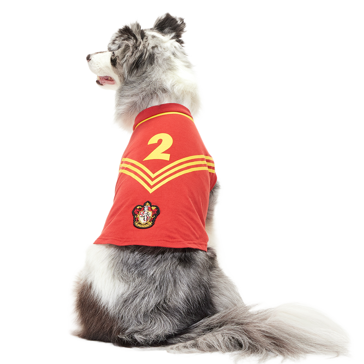 Quidditch™ Jersey