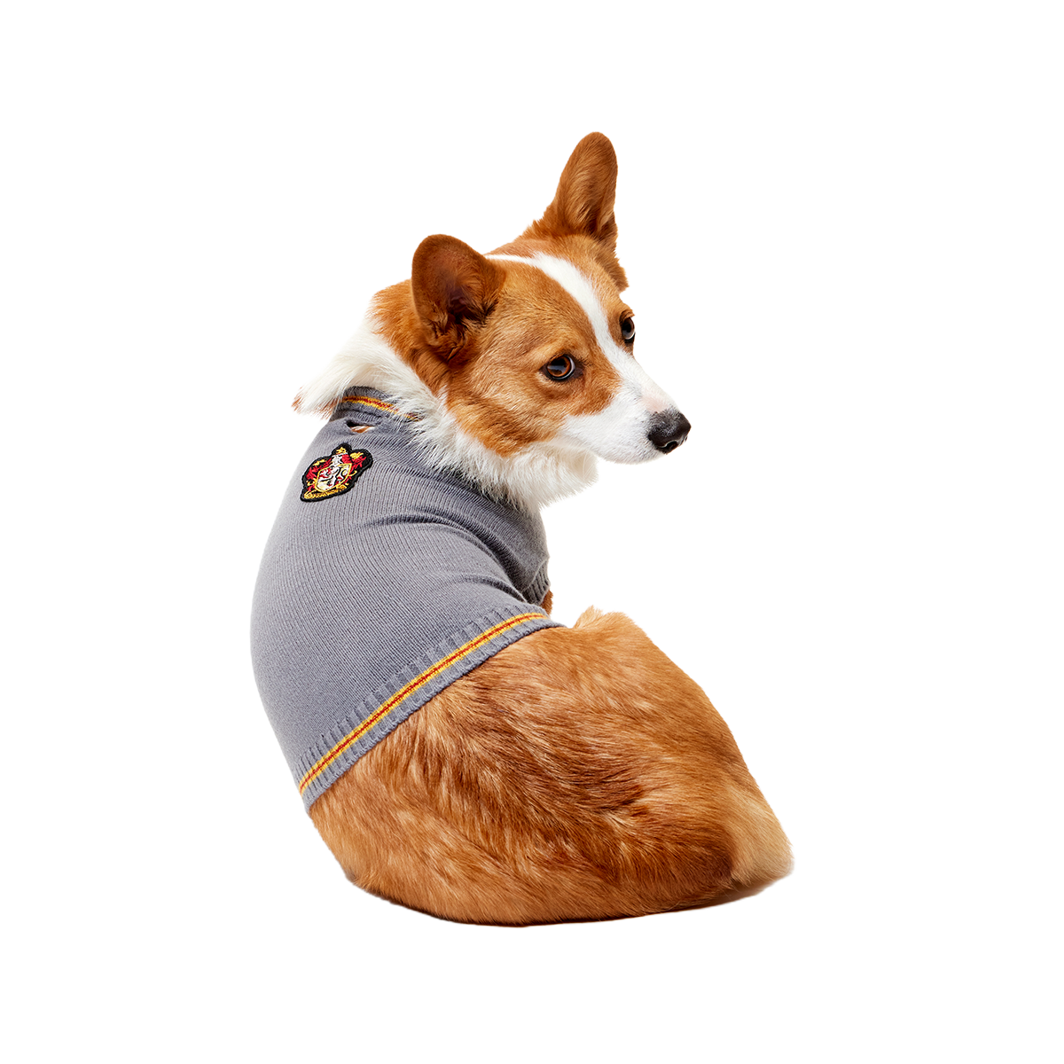 HARRY POTTER™ House Dog Sweater