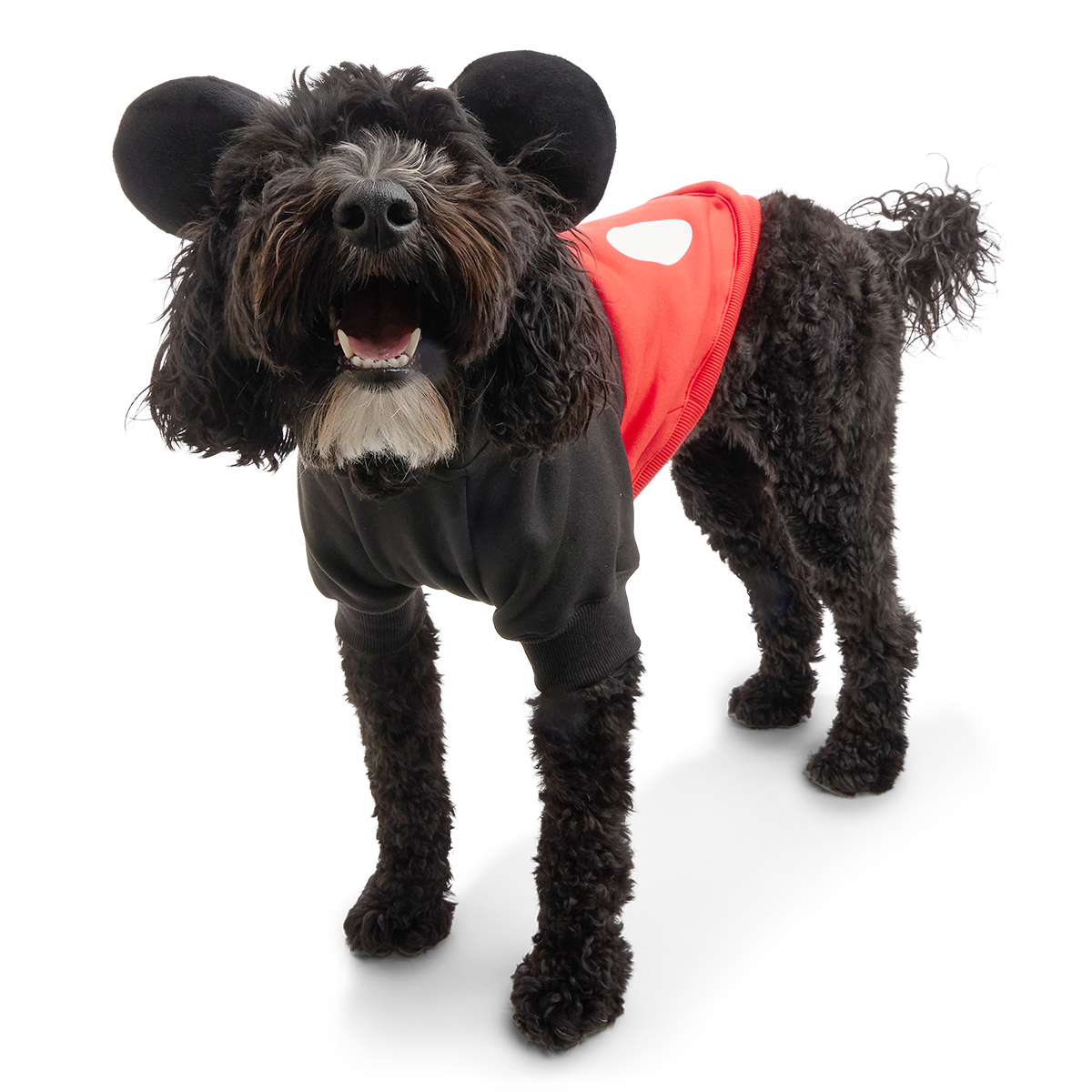 Mickey Mouse Dog Hoodie