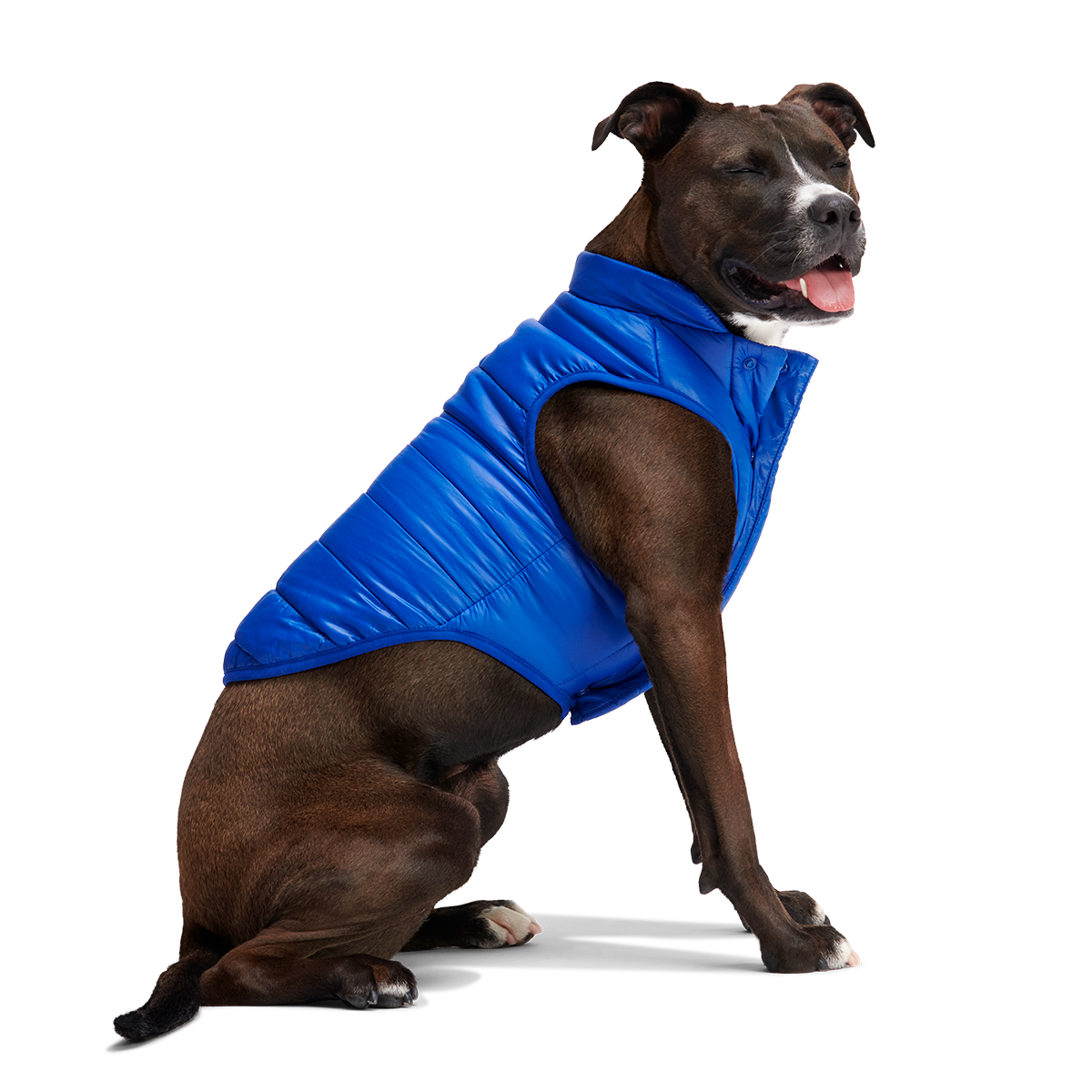 Puffer Dog Vest