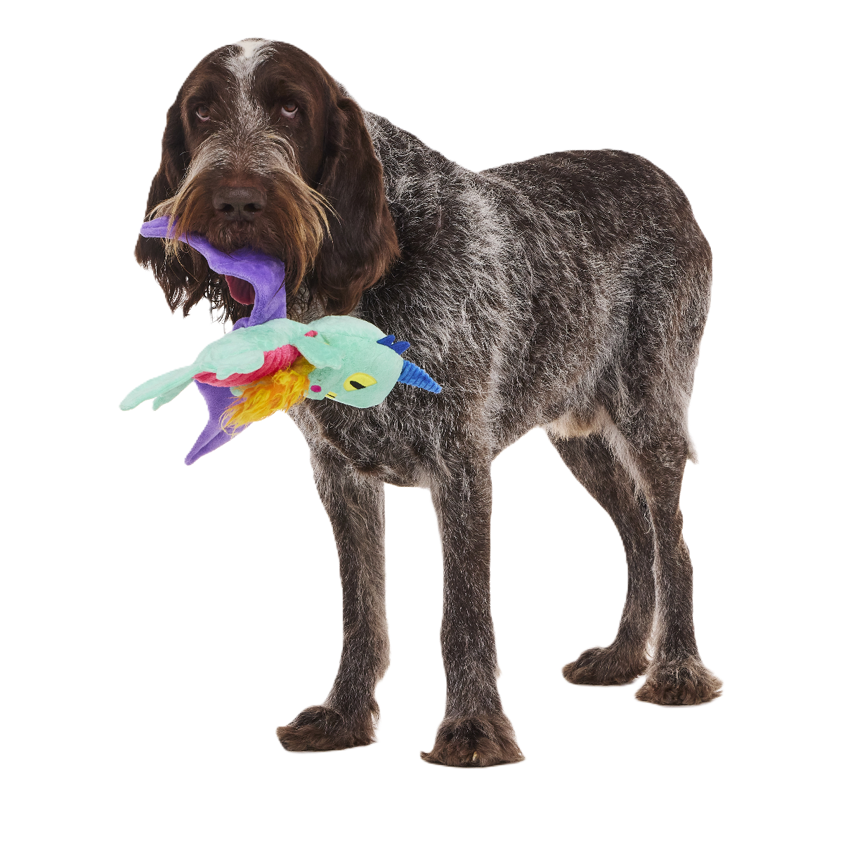 Chongus The Dragon Plush Extra-Large + Tug Dog Toy