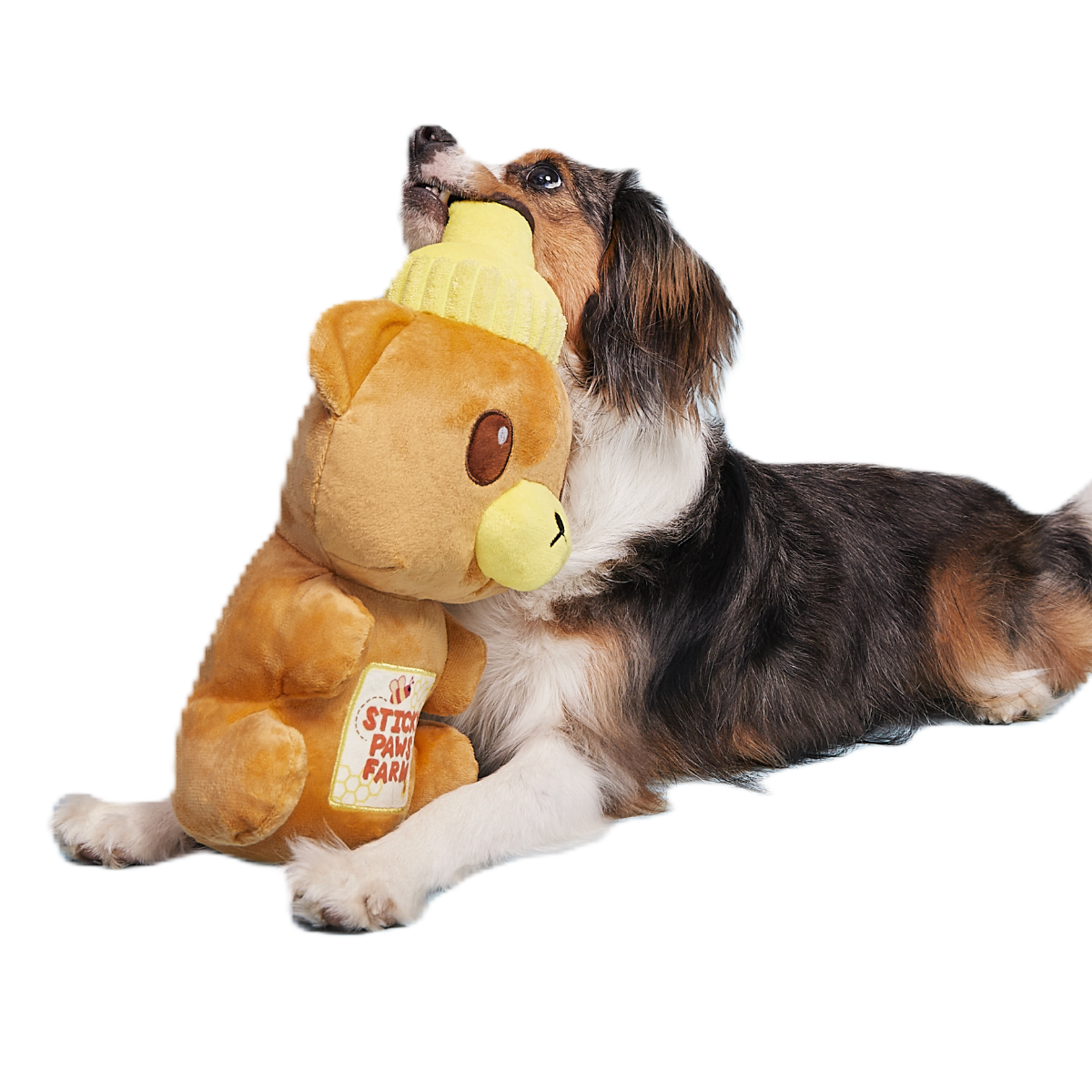 Sticky Paws Honey Bear Plush Extra-Large Dog Toy