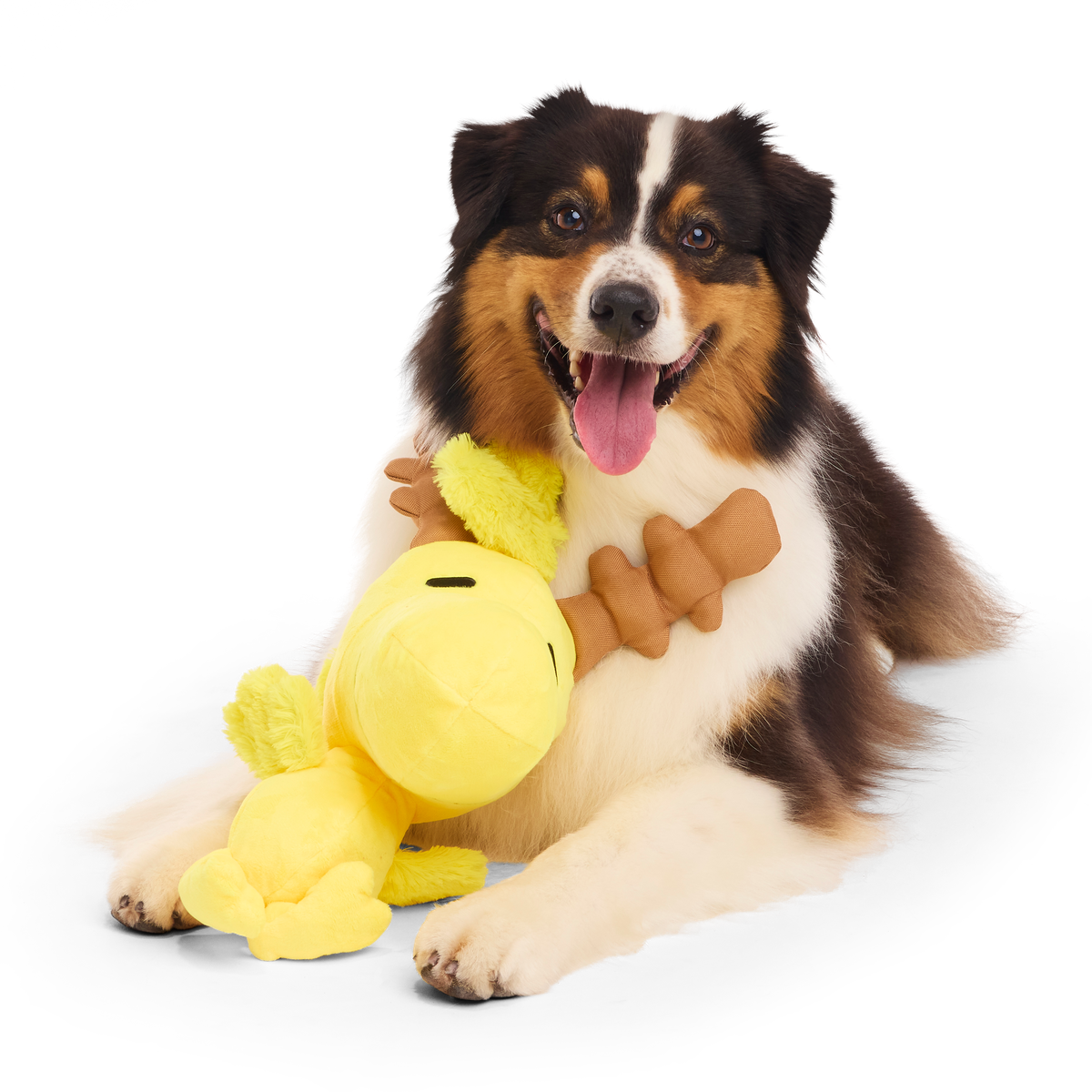 Reinbird Plush Extra-Large + Tug Dog Toy