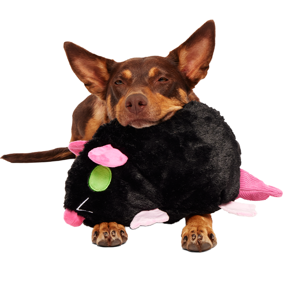 Rat-A-Chewy Plush Extra-Large + 2-in-1 + Tug Dog Toy