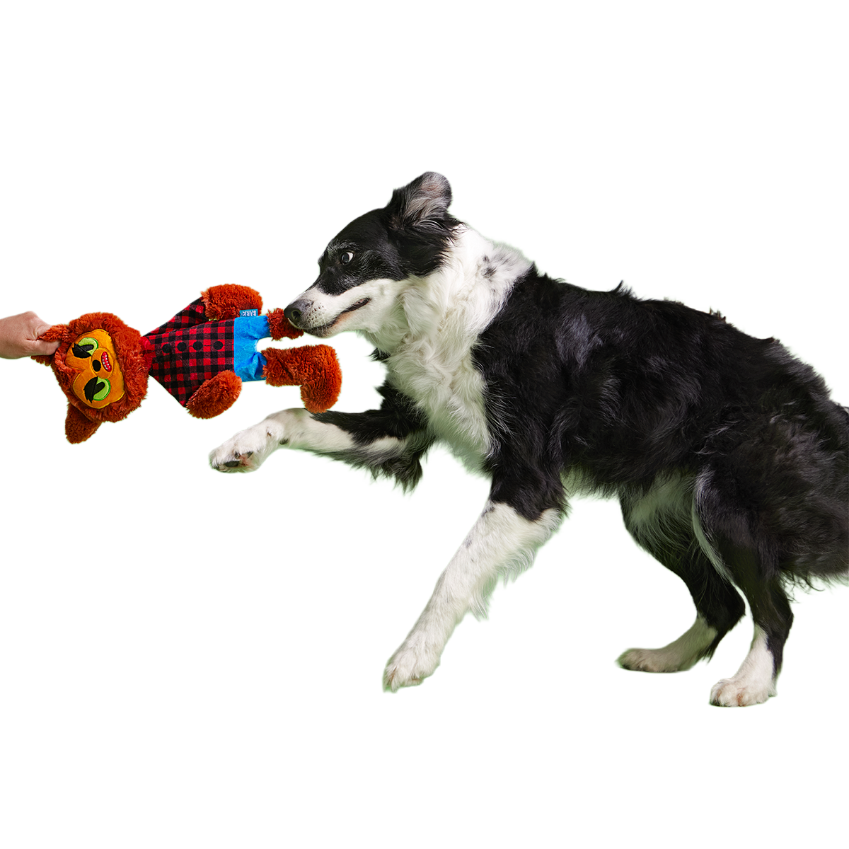 Teen Woof Plush Extra-Large + Tug Dog Toy