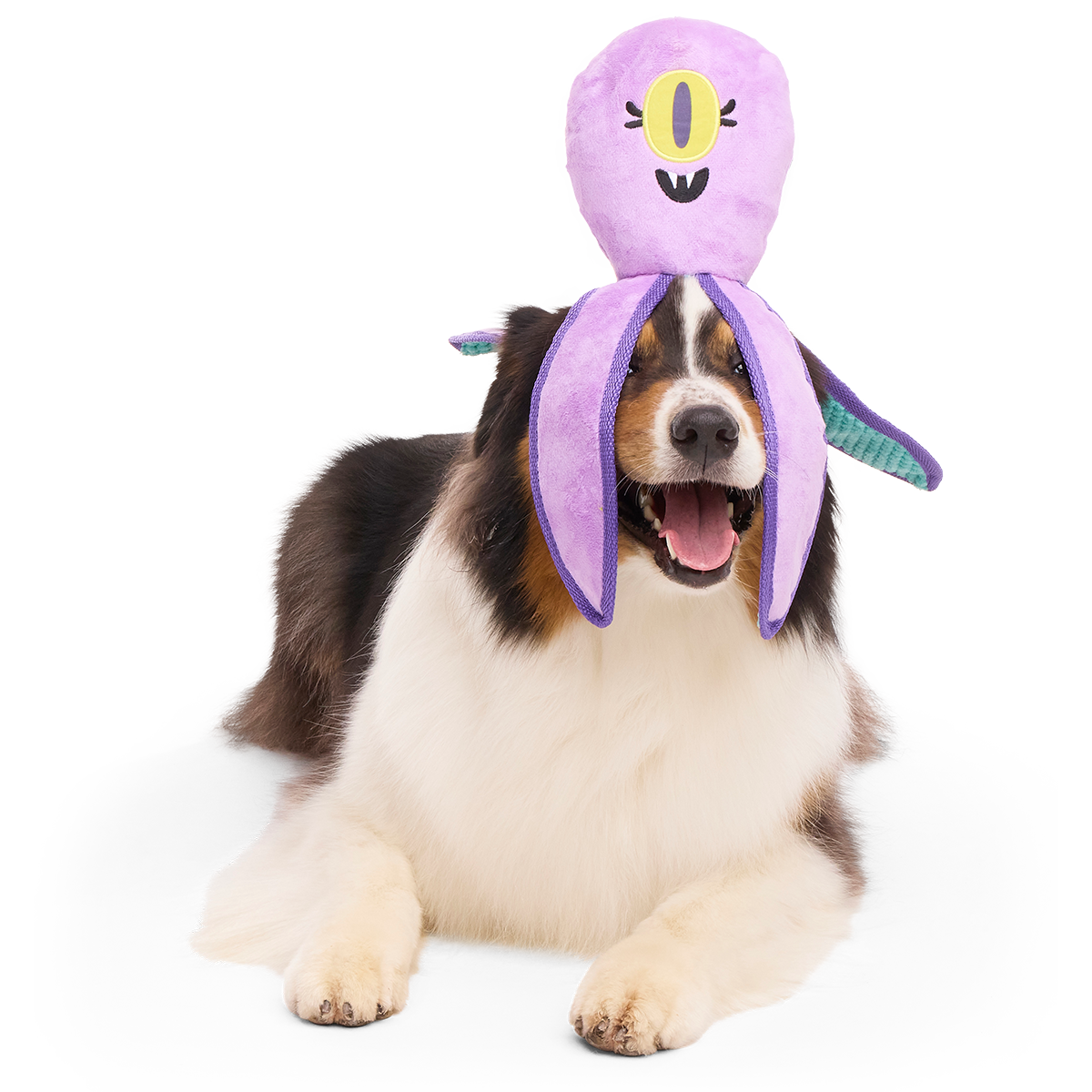 U.F.Ollie Plush Extra-Large + Tug Dog Toy