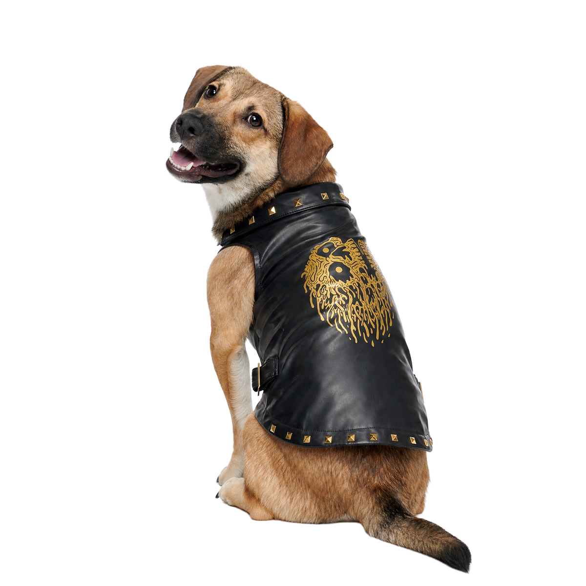 Vest in Peace Dog Vest