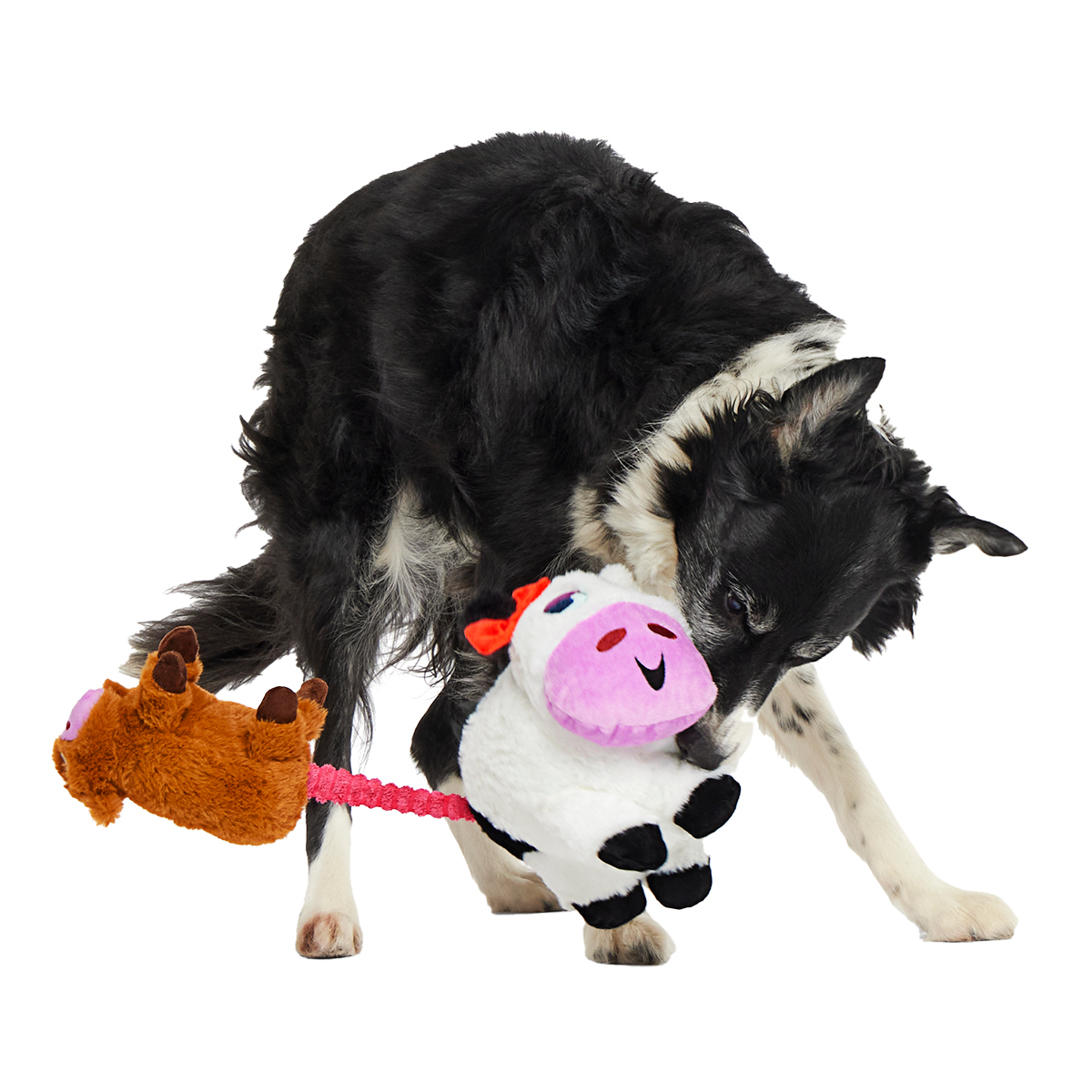 Bertha the Cow Plush Extra-Large Tug Dog Toy