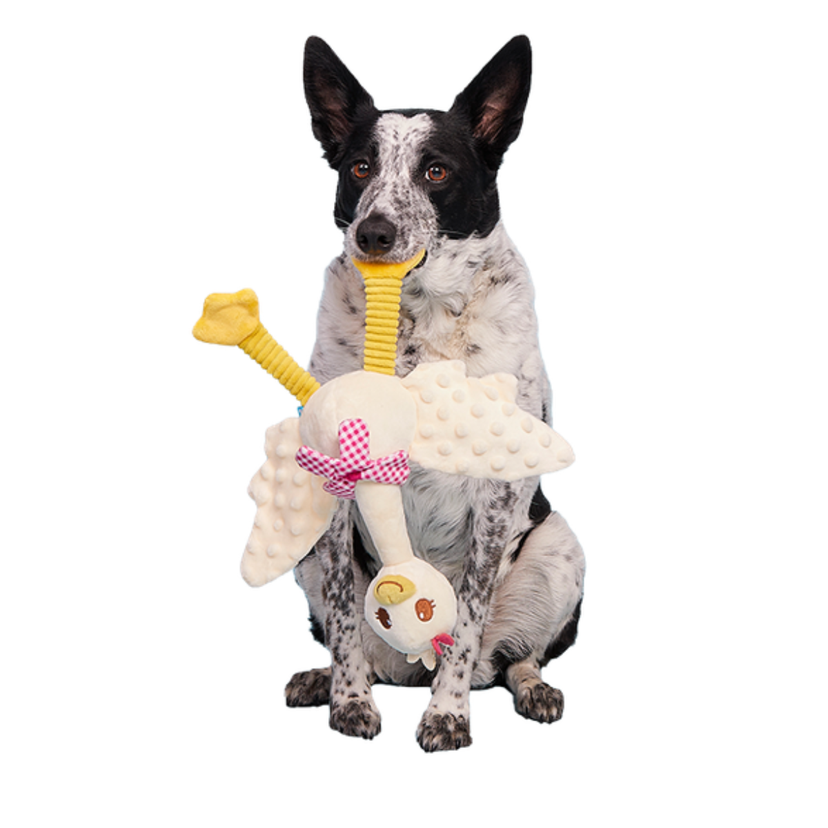 Gingham Goose Plush Extra-Large + Tug Dog Toy