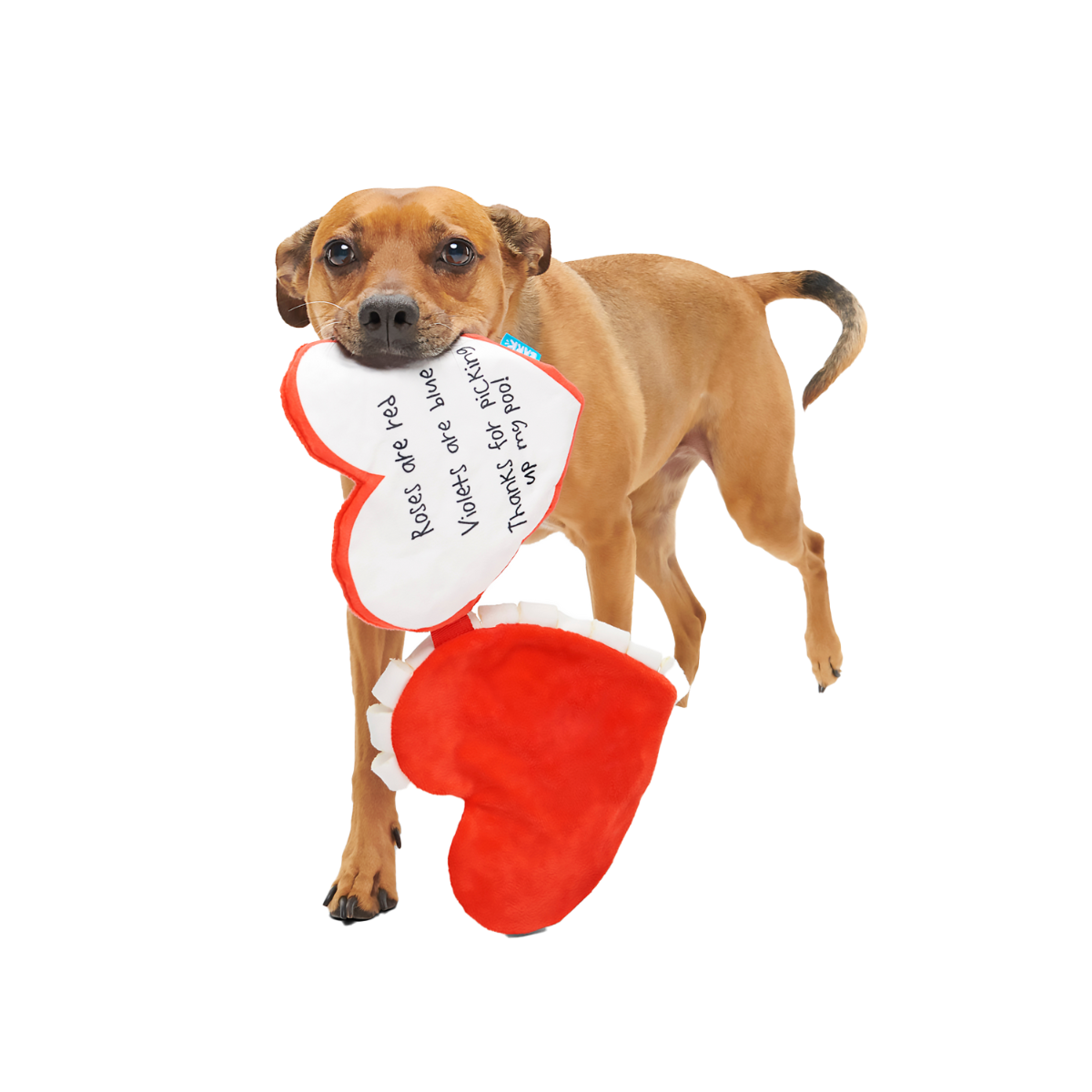 Be Mine Growlentine Plush Enrichment Dog Toy