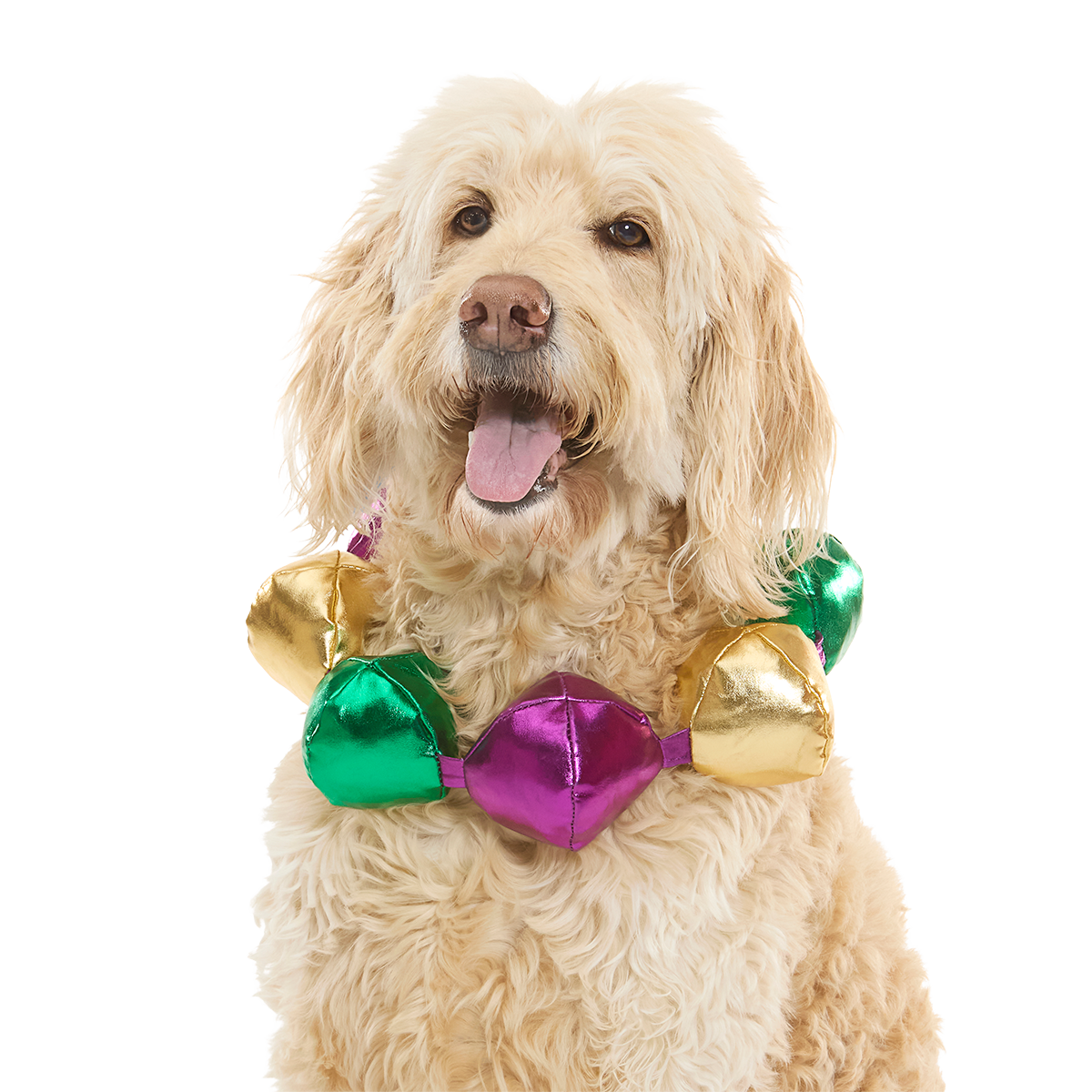 Mardi Growl Necklace Plush Wearable Tug Dog Toy