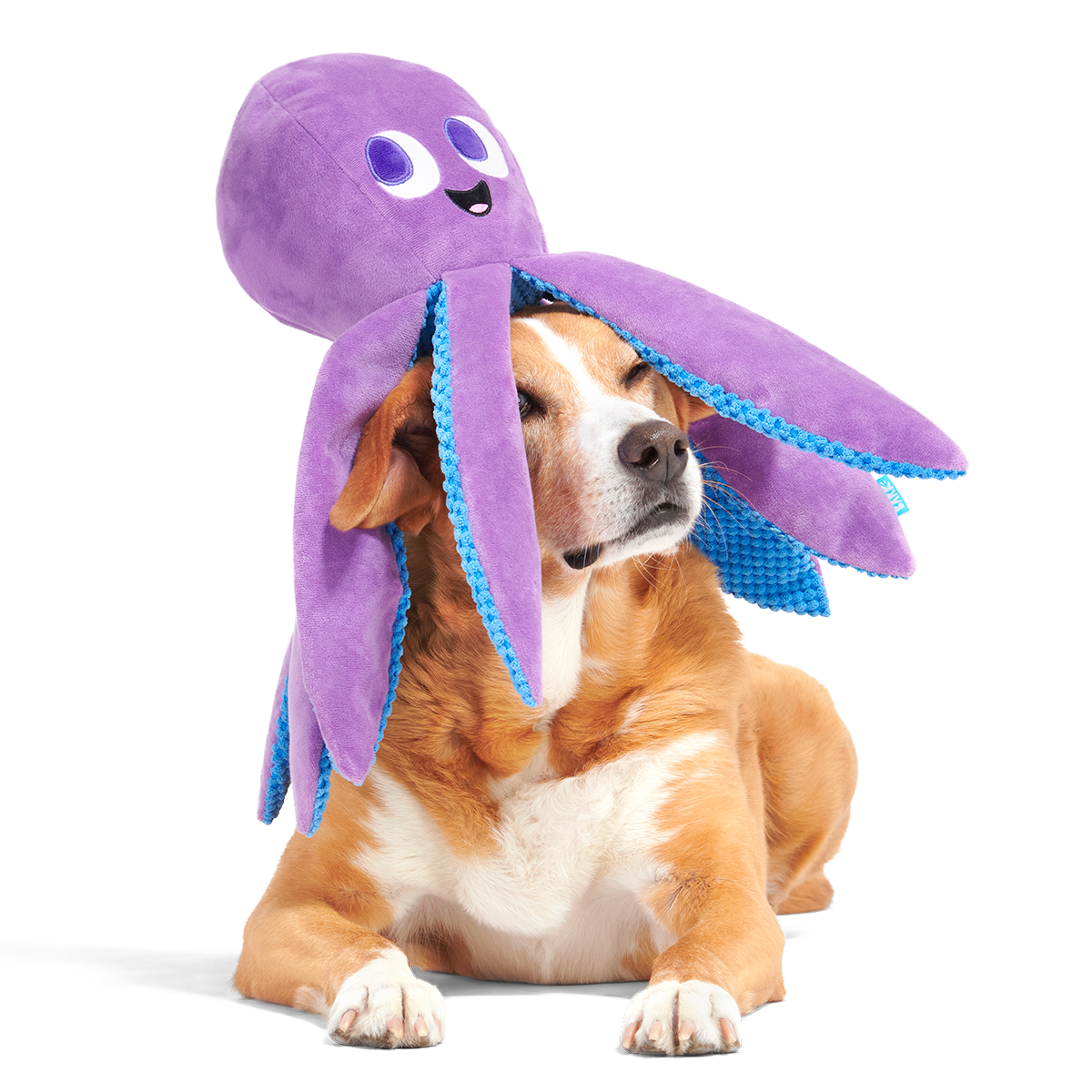 Mondo Ollie the Octopus Plush Tug + Extra-Large Dog Toy
