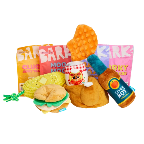 BARK 6 Month Subscription - FREE Extra Toys with Cardboard Box