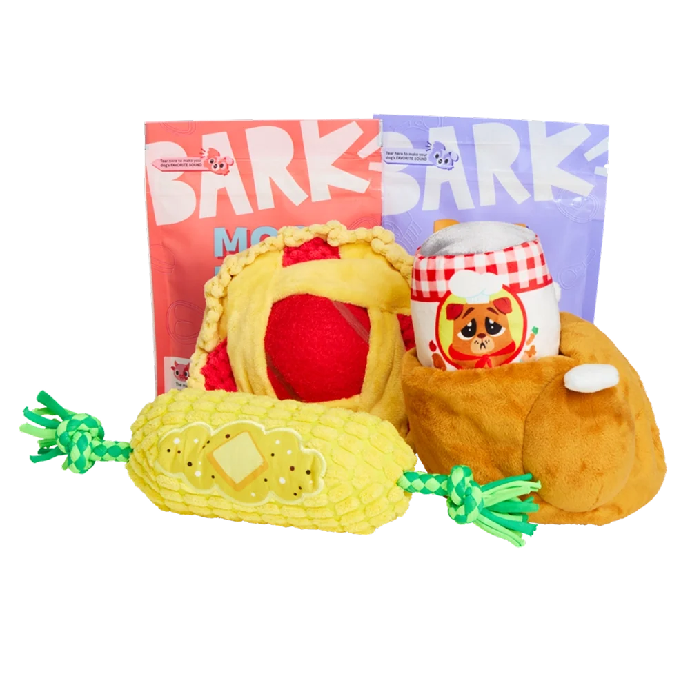 BARK 6 Month Subscription - FREE Extra Toys with Cardboard Box