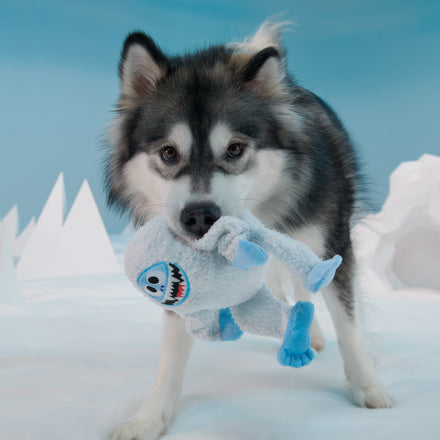 Bumble™ Plush Tug Dog Toy