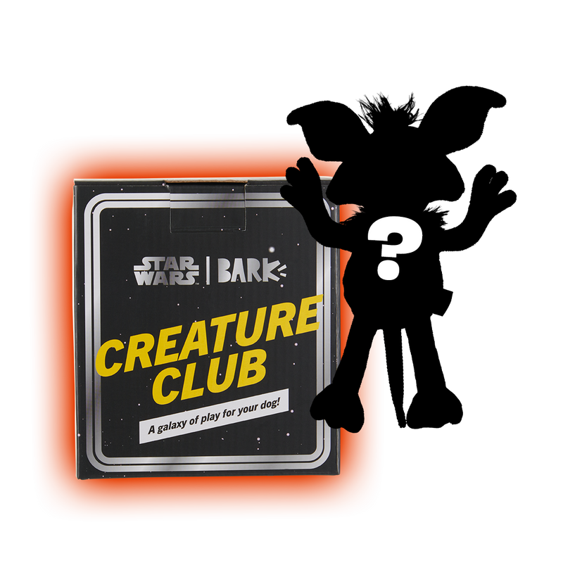 Star Wars™ Creature Club, Plush Monthly Dog Toys