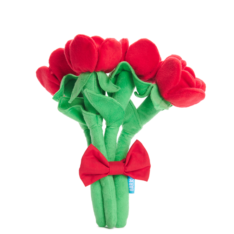 Bouquet of Roses Plush Multi-Part + Tug Dog Toy