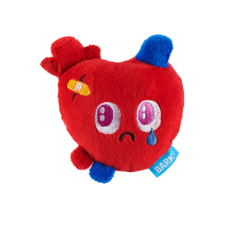 Broken Heart Ted Plush Dog Toy