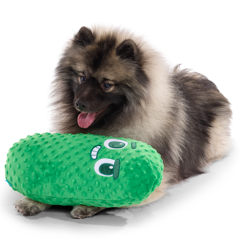 Big Dill Bill Plush Extra-Large + Tug Dog Toy