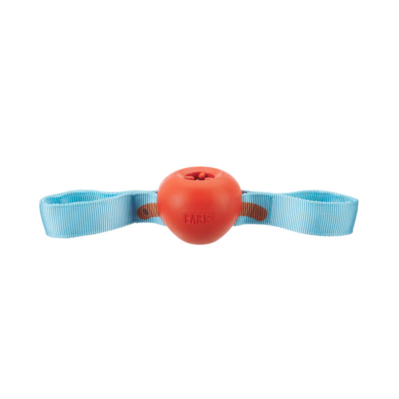One Bad Apple Super Chewer Durable Tug + Enrichment Dog Toy