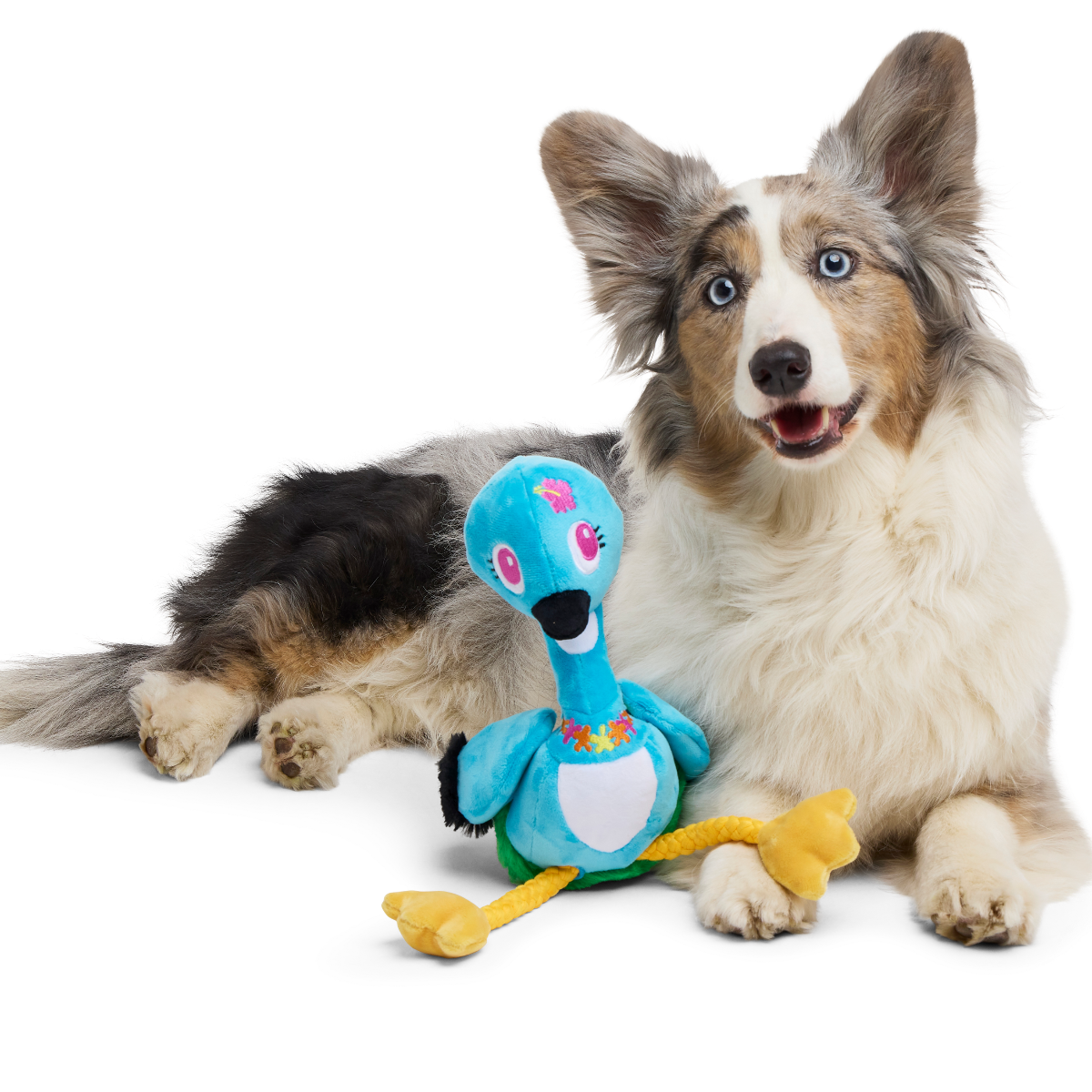Lele the Nene Goose Plush Tug + Extra-Large Dog Toy