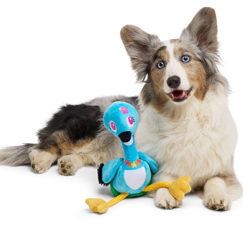 Lele the Nene Goose Plush Tug + Extra-Large Dog Toy