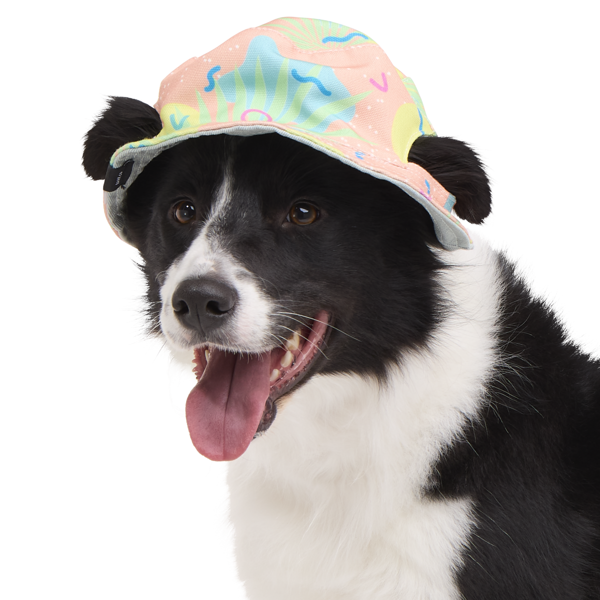Summertime Reversible Bucket Dog Hat