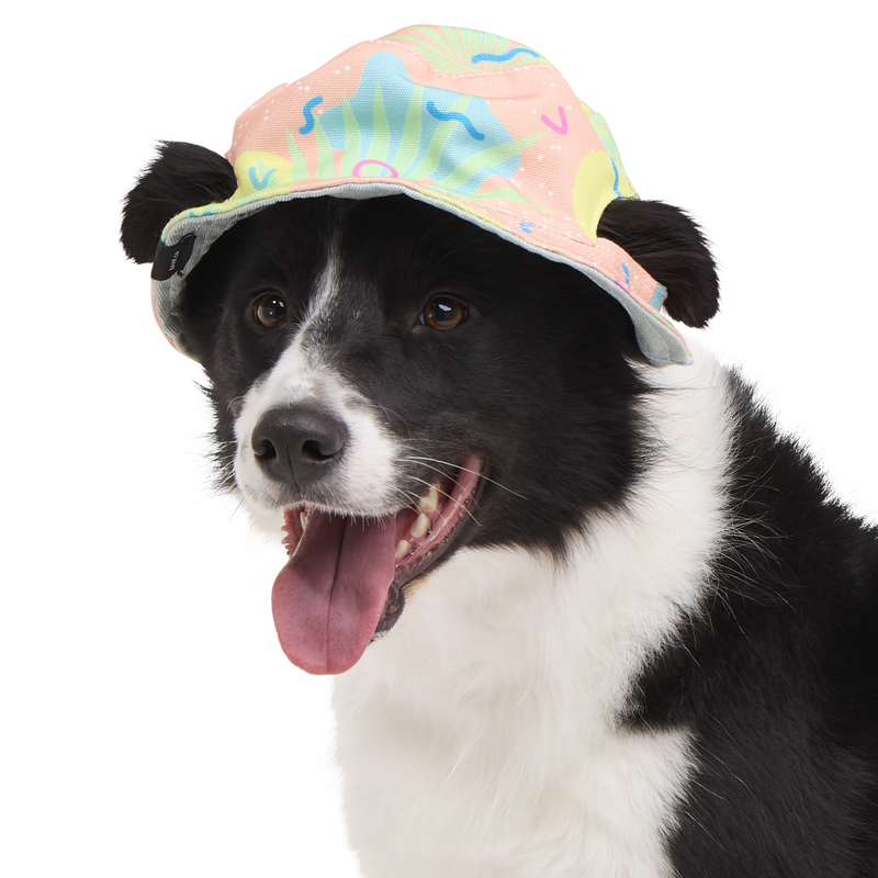 Summertime Reversible Bucket Dog Hat