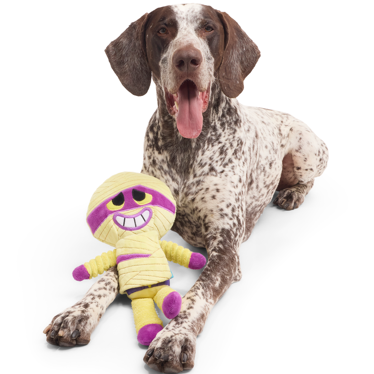 Unravelin’ Evan Plush Extra Large + Tug Dog Toy