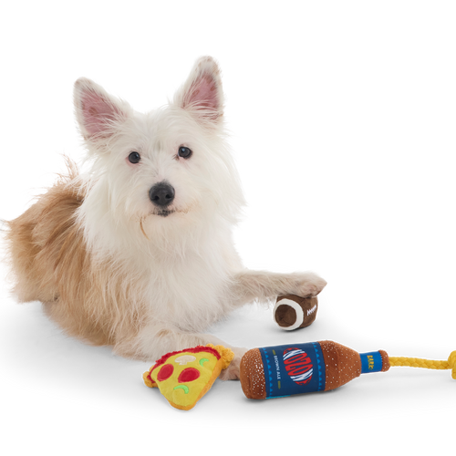 Big Game Bundle Plush Multi-Part + Tug Dog Toy