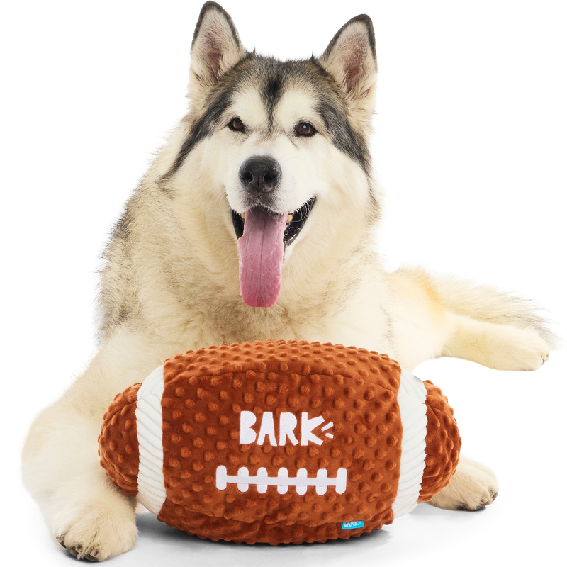 Wide Retriever Plush Extra-Large + Fetch Dog Toy