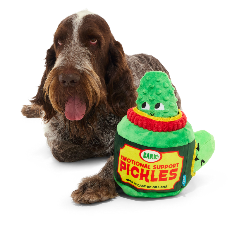 Dill-emma Squad Pickle Plush Extra-Large + Multi-Part Dog Toy