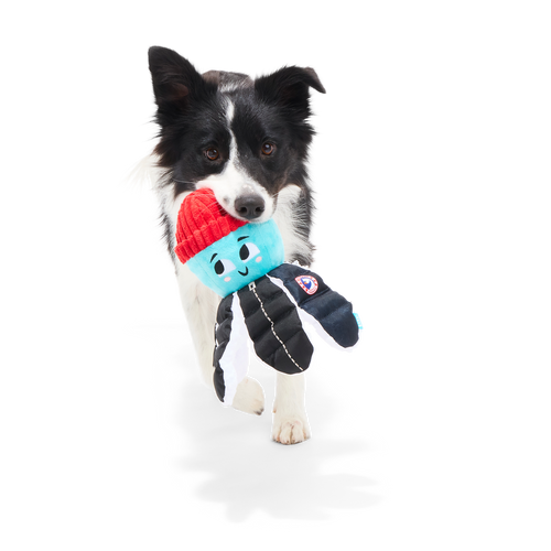 Arctic Ollie Plush Tug Dog Toy