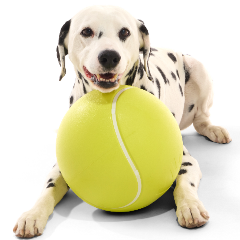 Chompianship Ball Super Chewer Durable Extra-Large + Fetch Dog Toy