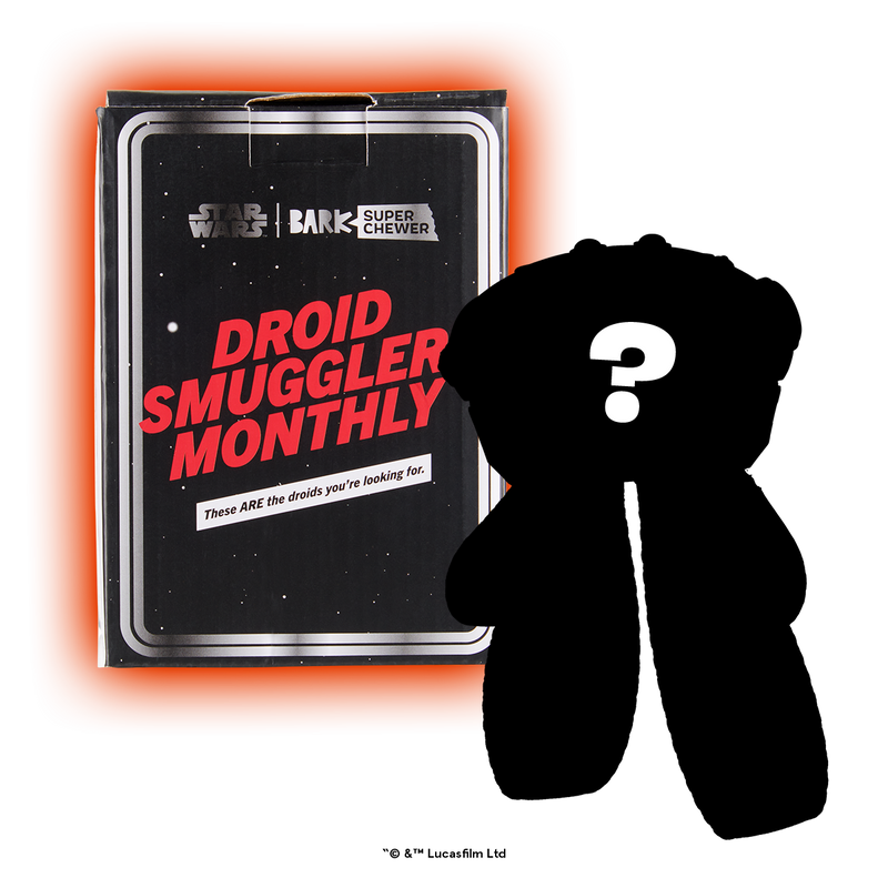 Star Wars™ Droid Smugglers Club, Super Chewer Durable Monthly Dog Toys