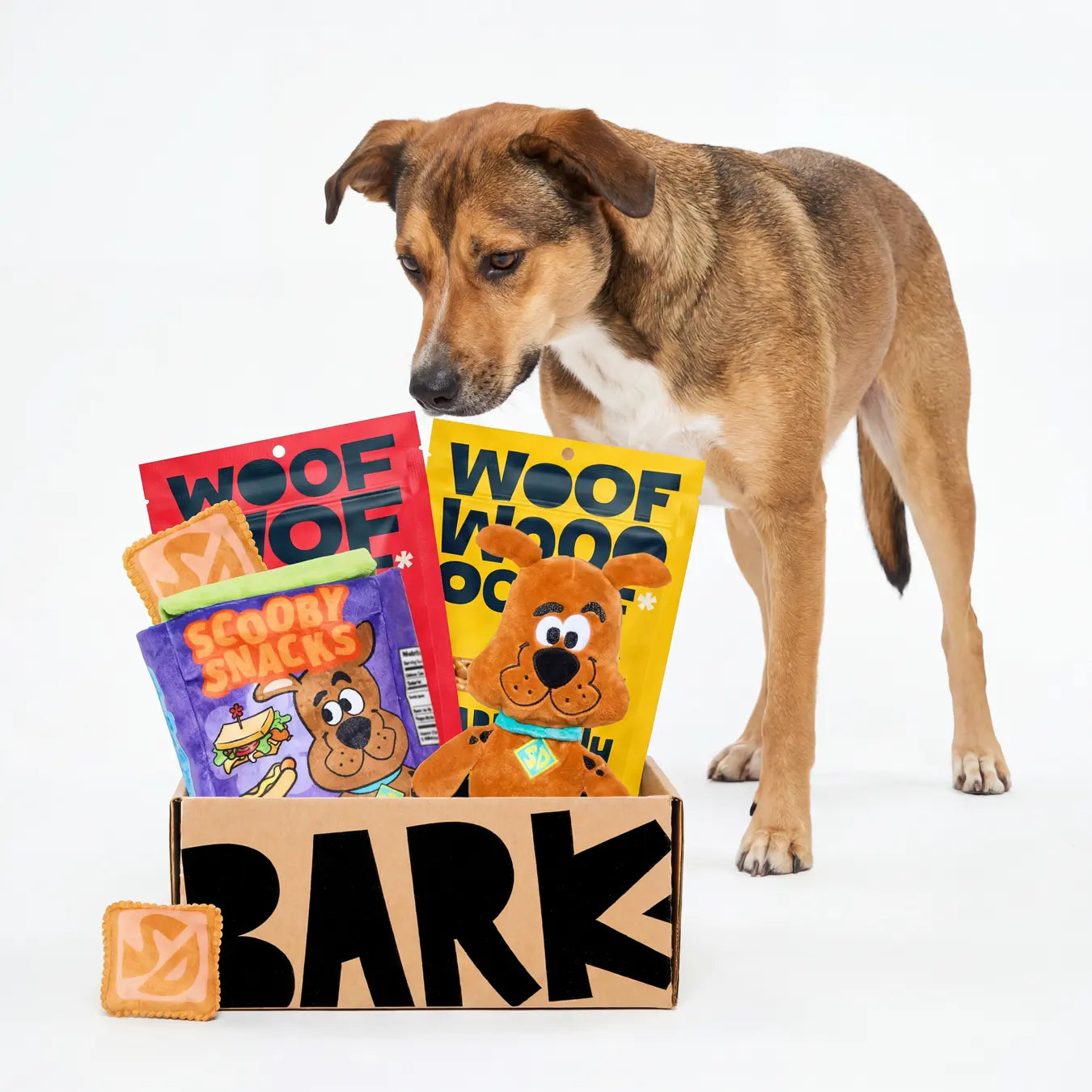 BARK 6 Month Subscription - Scooby-Doo™ Double Deluxe First Box