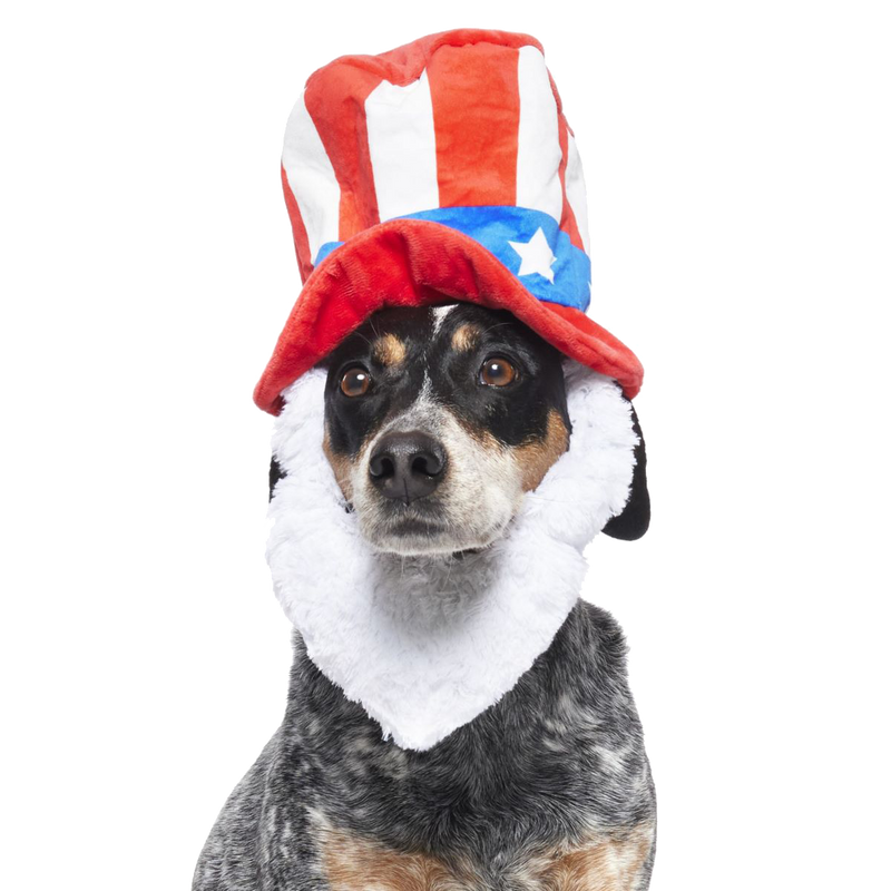 Dog Bless America Plush Wearable + Tug Dog Toy