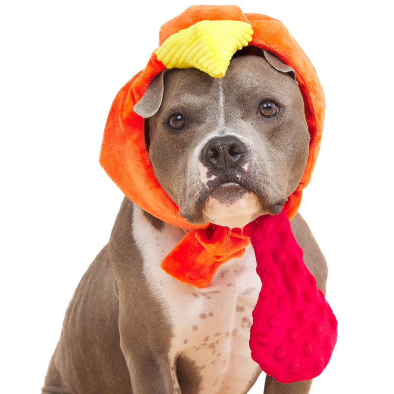Gobble Head Plush Wearable Tug Dog Toy